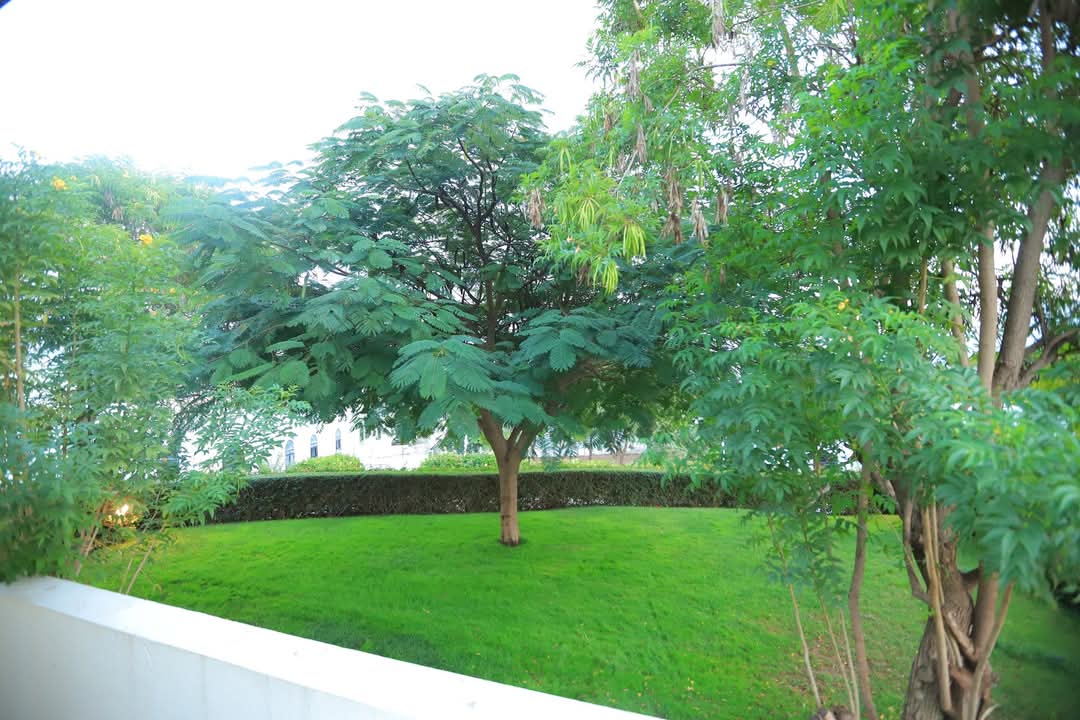 أجنحة ملكية